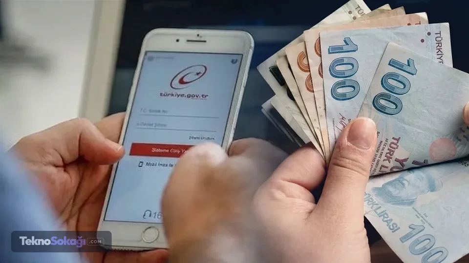 Kişisel Bilgilerinizi Koruyun: e-Devlet'te Şirket Kuruluşu ve Borç Risklerine Karşı Güvenlik Önlemleri