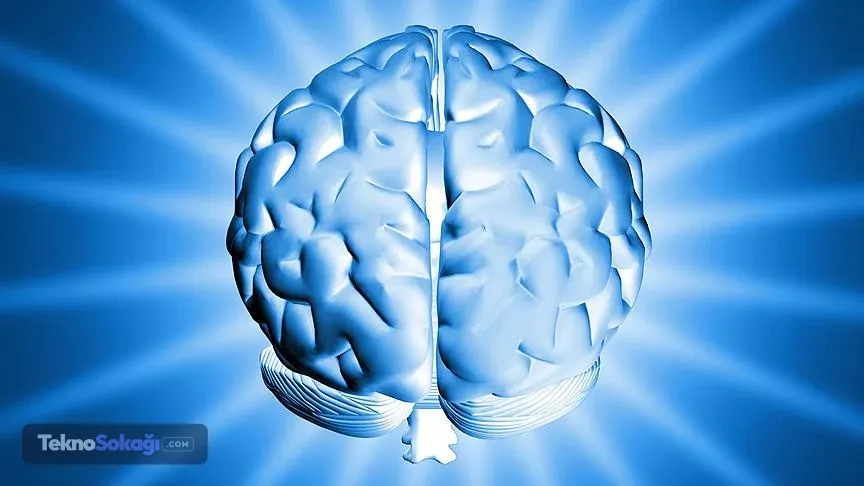 Üstün otobiyografik hafıza (HSAM), güçlü hafıza, unutamayan insanlar ve <a href=
