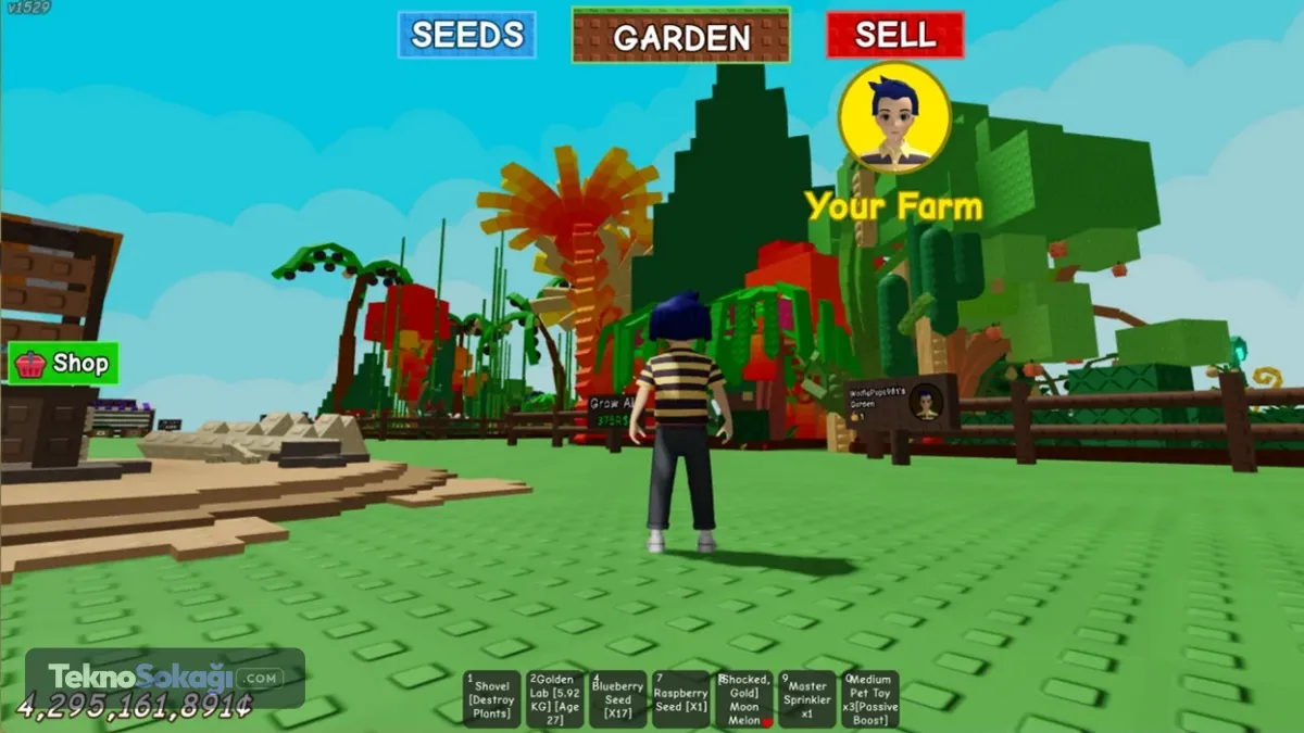 Roblox Türkiye'de Erişime Açılıyor: Çocuklar ve Gençler için Önemli Bir Adım