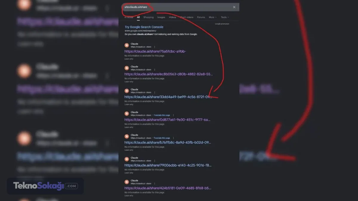 Claude kullanıcılarının özel sohbetleri ve verileri Google aramalarında ortaya çıktı