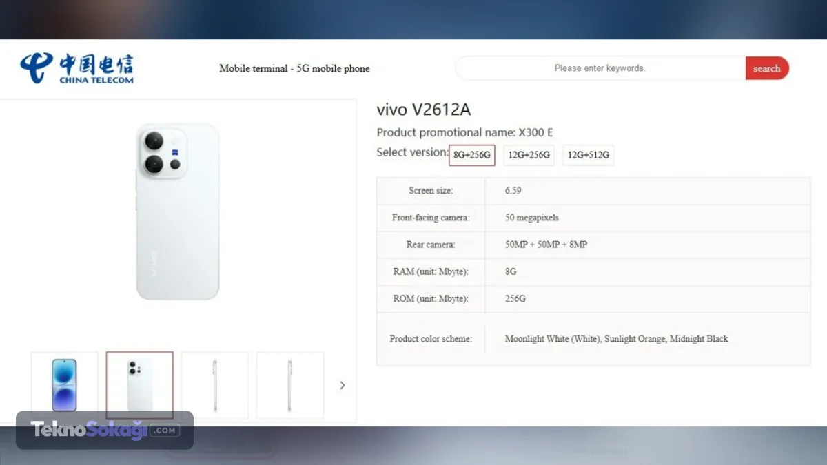 vivo X300 E
