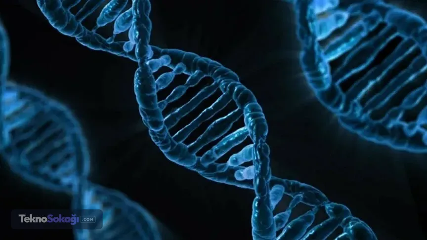 Bilim insanlarından çarpıcı keşif: İnsan DNA'sında iki bilinmeyen ata izi bulundu